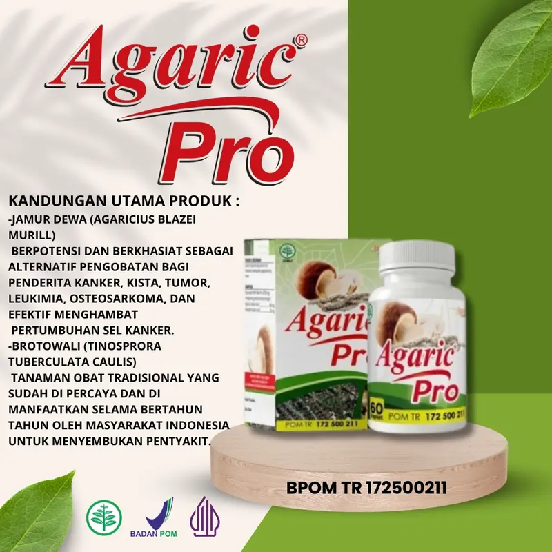 Agaric Pro AgaricPro Original untuk mengurangi Kolesterol coq 10 1