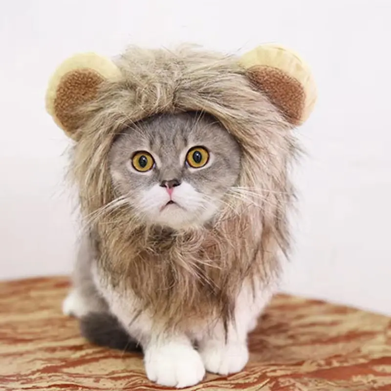 BABE PETSHOP Topi Lucu Kucing Anjing Topi Beruang Panda Kelinci Bunny hat Pet bear hat Kostum Aksesoris Topi Beruang Kelinci Bando Topi Beruang Pet bunny Hat singa 8