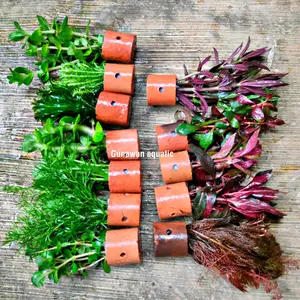 ornamen sintetis tanaman 5pot 5jenis