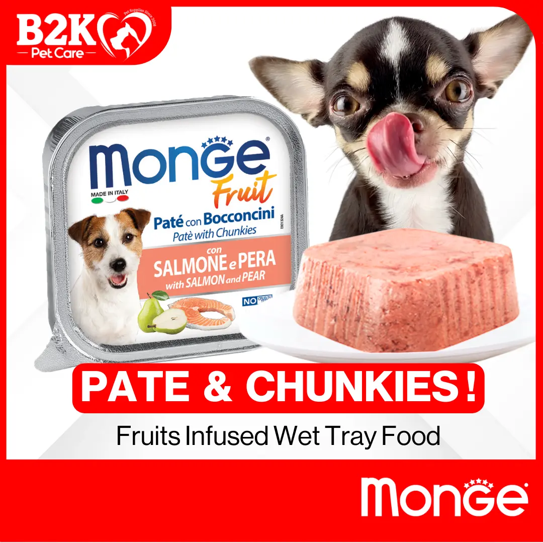 Monge Pate and Chunkies Wet Dog Food (100g) | Fresh Pate, Fruits Pate