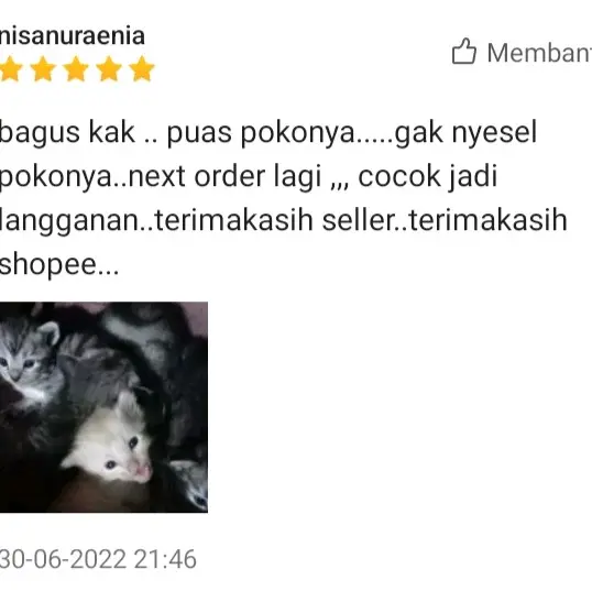 Paket Obat Luka Kucing - Obat Luka Kucing Dan Spray Pembersih Luka Kucing 4