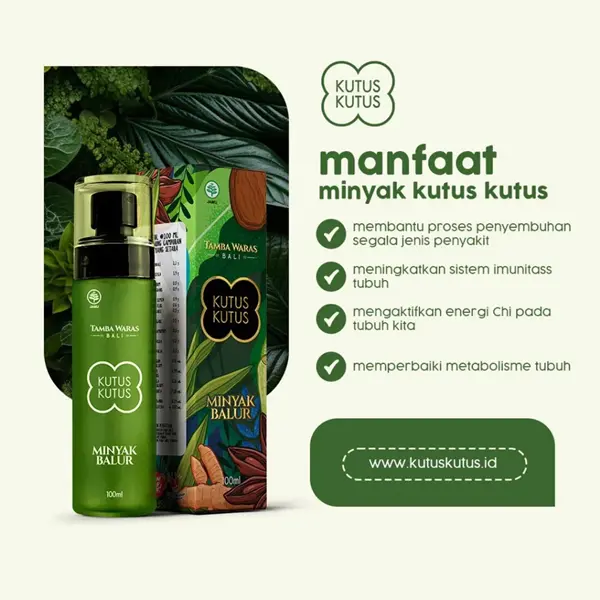Minyak Kutus Kutus Original 100% - Shop | Tokopedia