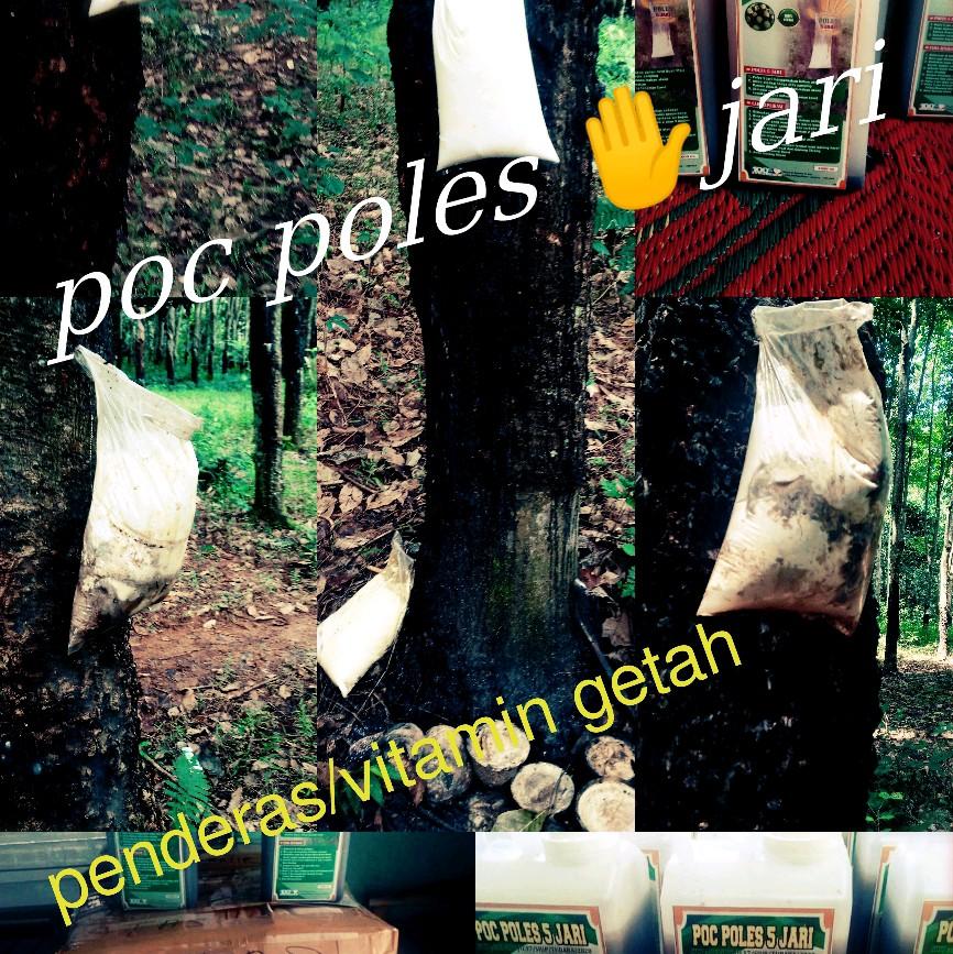 poc poles 5 jari  penderas getah/vitamin organik asli lampung