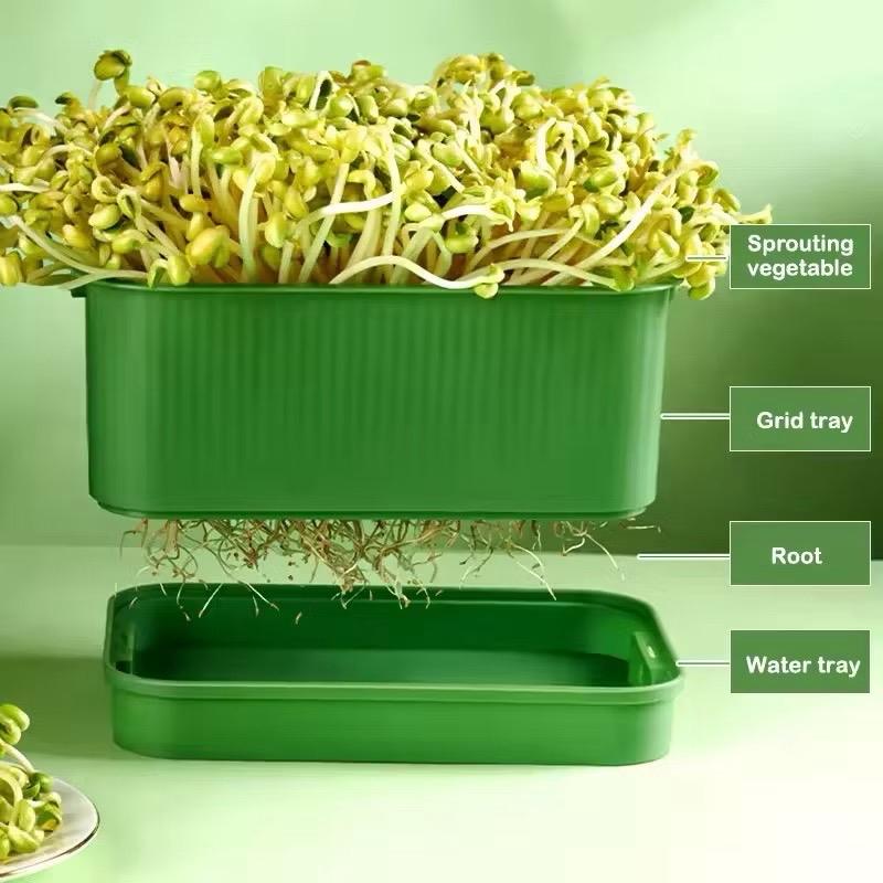 Khay Làm Giá Đỗ Rau Mầm Tự Tưới 2.3.4 Nhựa Dày Có Khay Thoát Nước Bền Trong Nhà Grid Tray Water Tray Root Kích Thước Nhỏ Gọn 23x16x12cm Tiện Lợi Cho Trồng Rau Mầm Tại Nhà