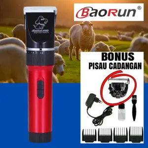 COD BAORUN PRO P6 MESIN ALAT CUKUR HEWAN DOMBA KUCING ANJING KAMBING CAS TANPA KABEL ELEKTRIK - P6