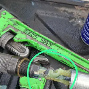 Holycatlabs ROYAL CARE FISH OIL Minyak Ikan Premium Vitamin kucing dan Anjing