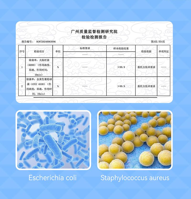 Product Introduction of Seaways Bathroom Spray Cleaner (500g) Toliet Bowl Cleaner Cement Stain Remover Glass Watermark Remover 9