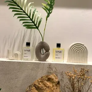 BestSeller Luxus parfum 100ml (high quality)