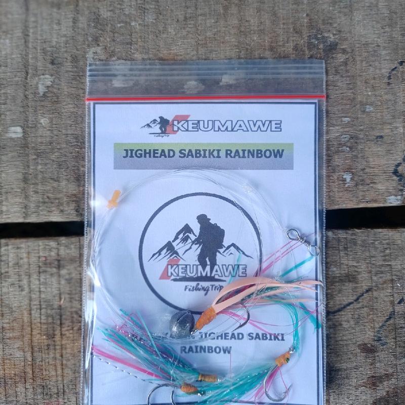 Rangkain Jighead Sabiki Rainbow Mancing Casting Pinggiran 5