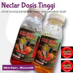 suka suka nektar kolibri sogok otong dosis tinggi