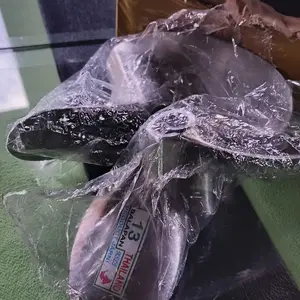 kipas perahu balap zit13 KING TURBO