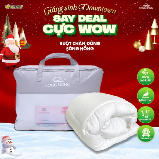 Ruột Chăn Đông Sông Hồng phân phối chính hãng tại Đệm Xanh