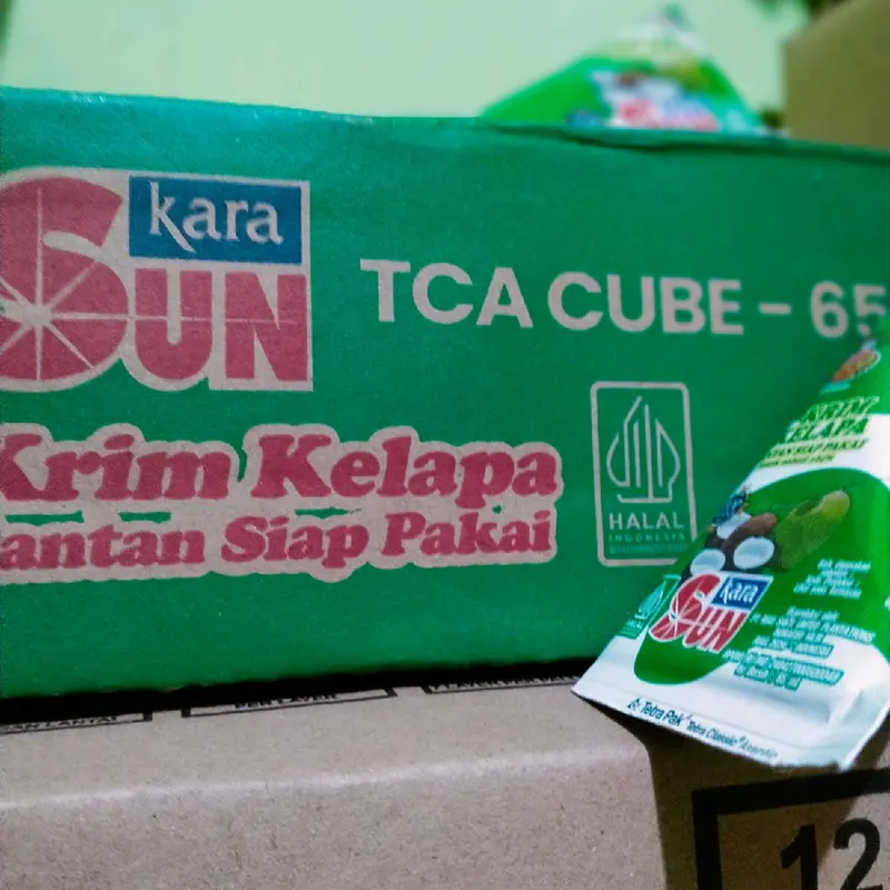 Krim kelapa Santan Kara 65ml bumbu masak Masakan 8