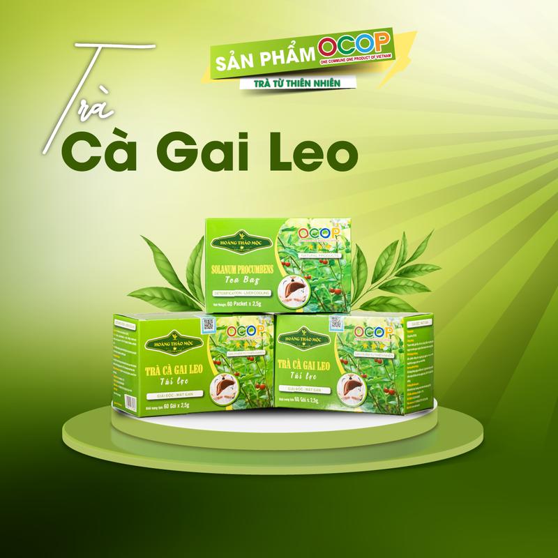 Chính hãng Trà cà gai leo túi lọc Hoàng Thảo Mộc