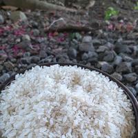 Gambar Beras Pandanwangi Organik 1kg dari Pondok Alam Kab. Sleman 3 Tokopedia