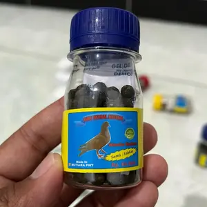 Jamu Merpati Kolong Mutiara Semi