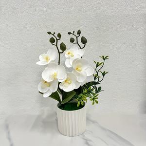 Planta en maceta de orquídea artificial, 3 piezas de orquídea falsa en maceta, flor decorativa para oficina en casa, suministros para decoración del hogar, fruta