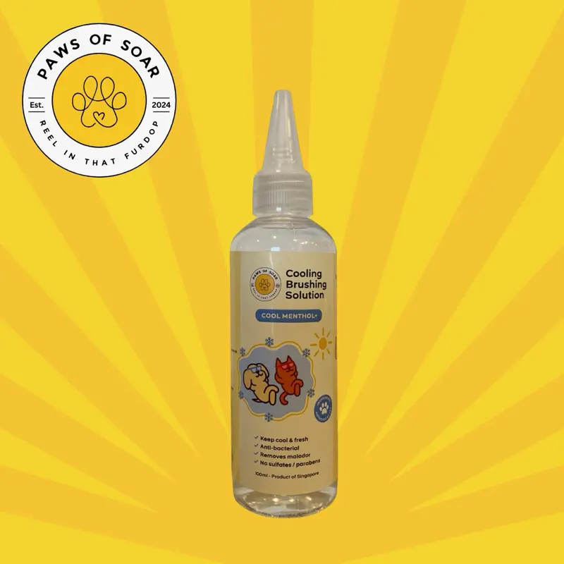 Cooling Brushing Solution 100ml