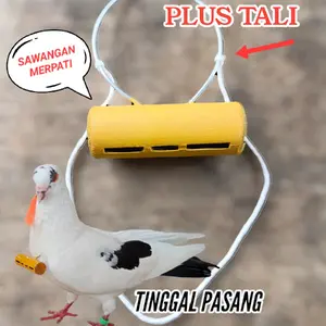 Sawangan merpati hotang pluit hontang burung dara