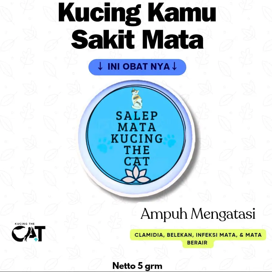 Obat Mata Kucing Clamidia - Salep Mata Kucing Clamidia