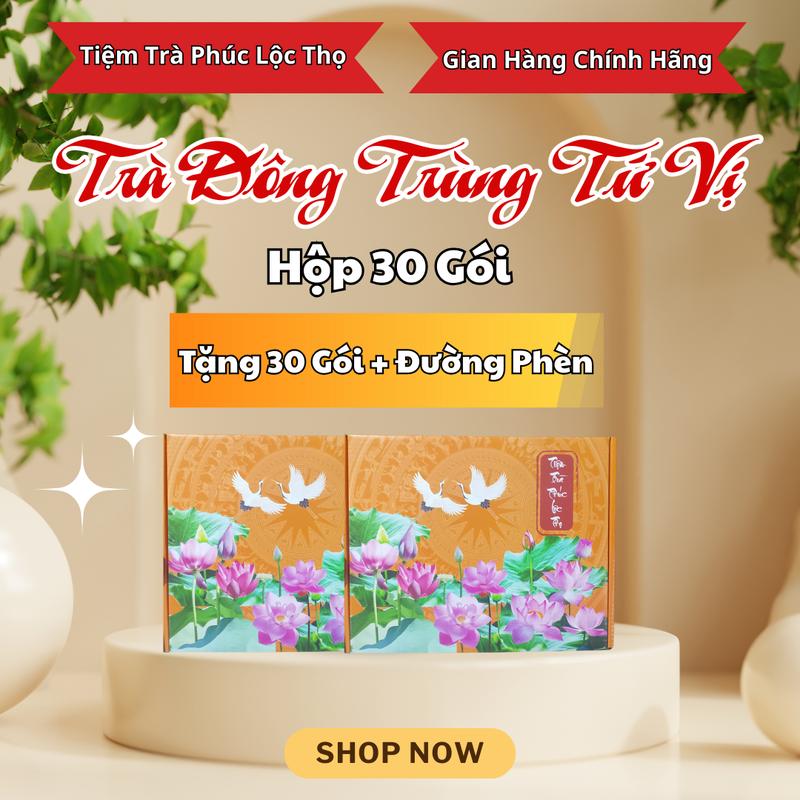 Tặng Thêm 30 Gói + Đường Phèn - Hộp 30 Gói Tặng 30 Gói Tổng Nhận 60 Gói - Thành Phần: Nấm Đông Trùng Kỳ Tử Táo Đỏ Long Nhãn - LƯU Ý : HỘP 40 GÓI +20 GÓI TÚI NGOÀI - Tiệm Trà Phúc Lộc Thọ