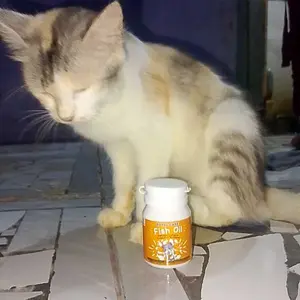 Holycatlabs ROYAL CARE FISH OIL Minyak Ikan Premium Vitamin kucing dan Anjing