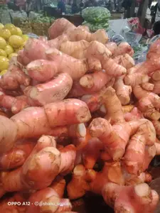 Lengkuas laos segar sudah bersih/laja merah sudah cuci berat 500 gran dan 1 kg