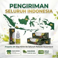 Gambar Propolis SM Telinga Congek, Telinga Bernanahm Telinga Berair, Telinga Gatal Iritasi, Telinga Berdenging, Telinga Tersumbat 6 ml dari Iklan Herbal Shop Kota Administrasi Jakarta Selatan 5 Tokopedia