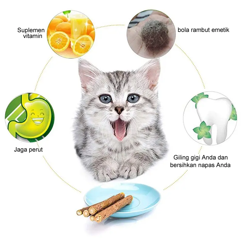 Catnip Stick Snack Kucing Kayu Matatabi Camilan Mainan Gigit Cat Nip Toys 4