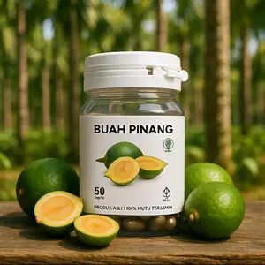 kapsul buah pinang muda herbaluv sehat sejahtera mutu terjamin tanpa efek samping isi 50 kapsul original