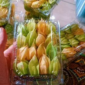 ciplukan 100gram -fresh cecendet - goldenbery