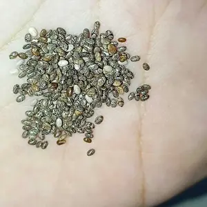 Chia Seed 1 Kg Chiaseed Organic