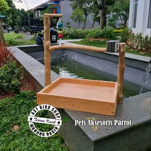 Tangkringan burung parrot small