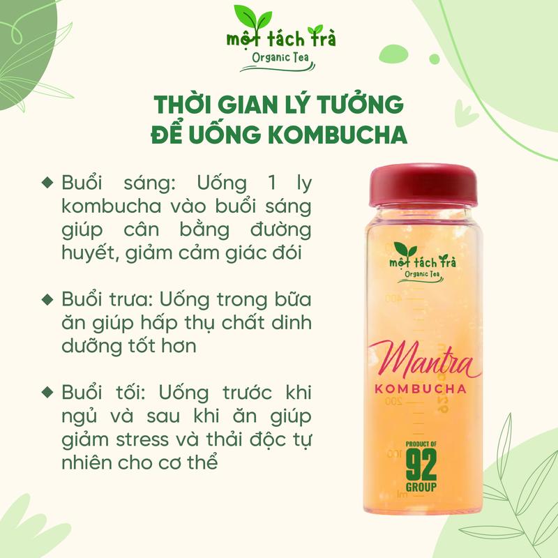 [TẶNG BÌNH] Trà Kombucha Mix Vị Chanh, Đào, Việt Quất, Táo, Lựu Thương Hiệu Bản F&B - Tặng BÌNH NGẪU NHIÊN 7