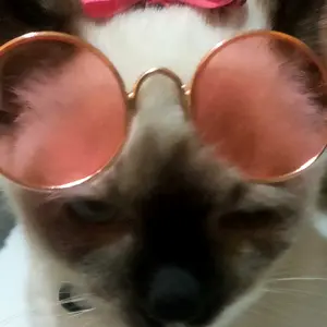 [HACIKO PETSHOP] Dog hair clip ribbon pita lucu  Dog Hair Bow / Cat Hair Bow/Busur jepit rambut anjing dan kucing/Aksesoris Rambut Anjing / Aksesoris Rambut Kucing aksesoris rambut hewan peliharaan