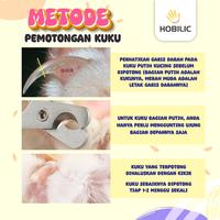 Gambar Hobilic Gunting Kuku Kucing Anjing 3 in 1 Alat Perlengkapan Grooming Hewan Premium dari Hobilic Kota Administrasi Jakarta Pusat 4 Tokopedia