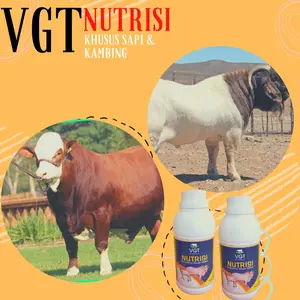 VGT Nutrisi Penggemuk Ternak Sapi Kambing Meningkatkan Nafsu Makan & Daya Tahan Tubuh Mencegah Virus Kuku Mulut & Antrax 100% Original