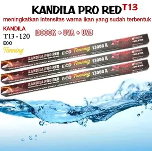 KANDILA PRO RED ECO T13 - 120 TANNING 13000K UVA+UVB LAMPU LED AQUARIUM/LAMPU KANDILA PEO RED ECO T13 - 120