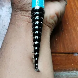 oregon toscana custom handle spon eva & non spon