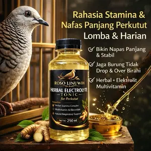 Air Minum Perkutut Linuwih Herbal Elektrolit – Booster Stamina & Nafas Panjang | Vitamin Burung Perkutut