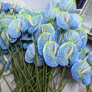 Bunga Anthurium Kuping Gajah Murah Bunga Dekorasi Satu Lusin Bunga Lusinan