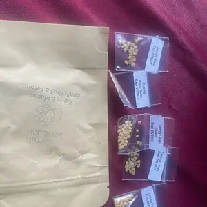 Paket 5 Macam Benih Terong F1 Hibrida Benih Sayur Sayuran Seribuan