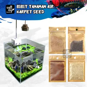 Carpet Seed Aquascape Tanaman Carpet Aquarium Akuarium