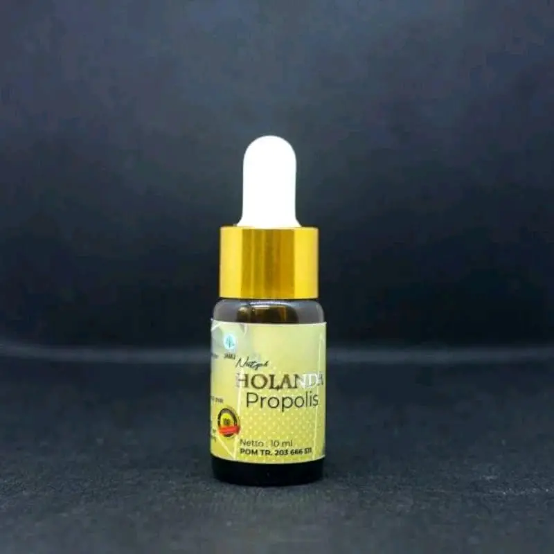 Holanda Propolis Asli Original 1