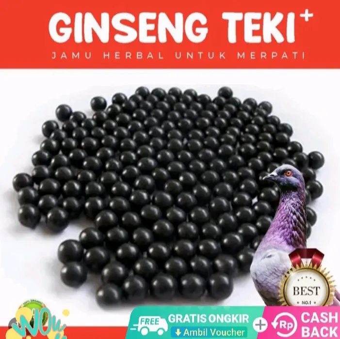 JAMU MERPATI CEPAT GIRING KERAS isi 100 butir sarang walet ferfect power jamu ginseng teki hff rjb xes4 elite 99 extra JP 2
