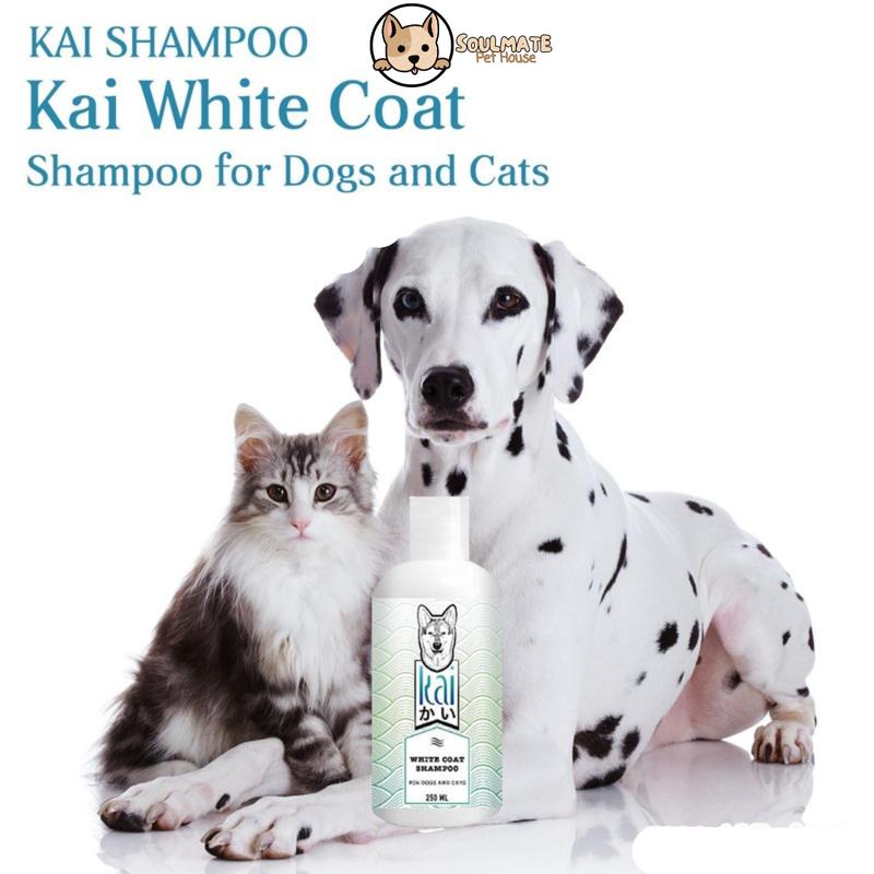 Product Introduction of (SALE+ QUÀ) Sữa tắm yến mạch+xịt dưỡng cao cấp KAI cho chó mèo 250ml- Thái Lan 35