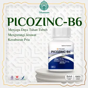 PICOZINC-B6 - Zinc Picolinate 50mg & B6 HCL 10mg - 30 Tablet Botol - Suplemen Kesehatan Tubuh