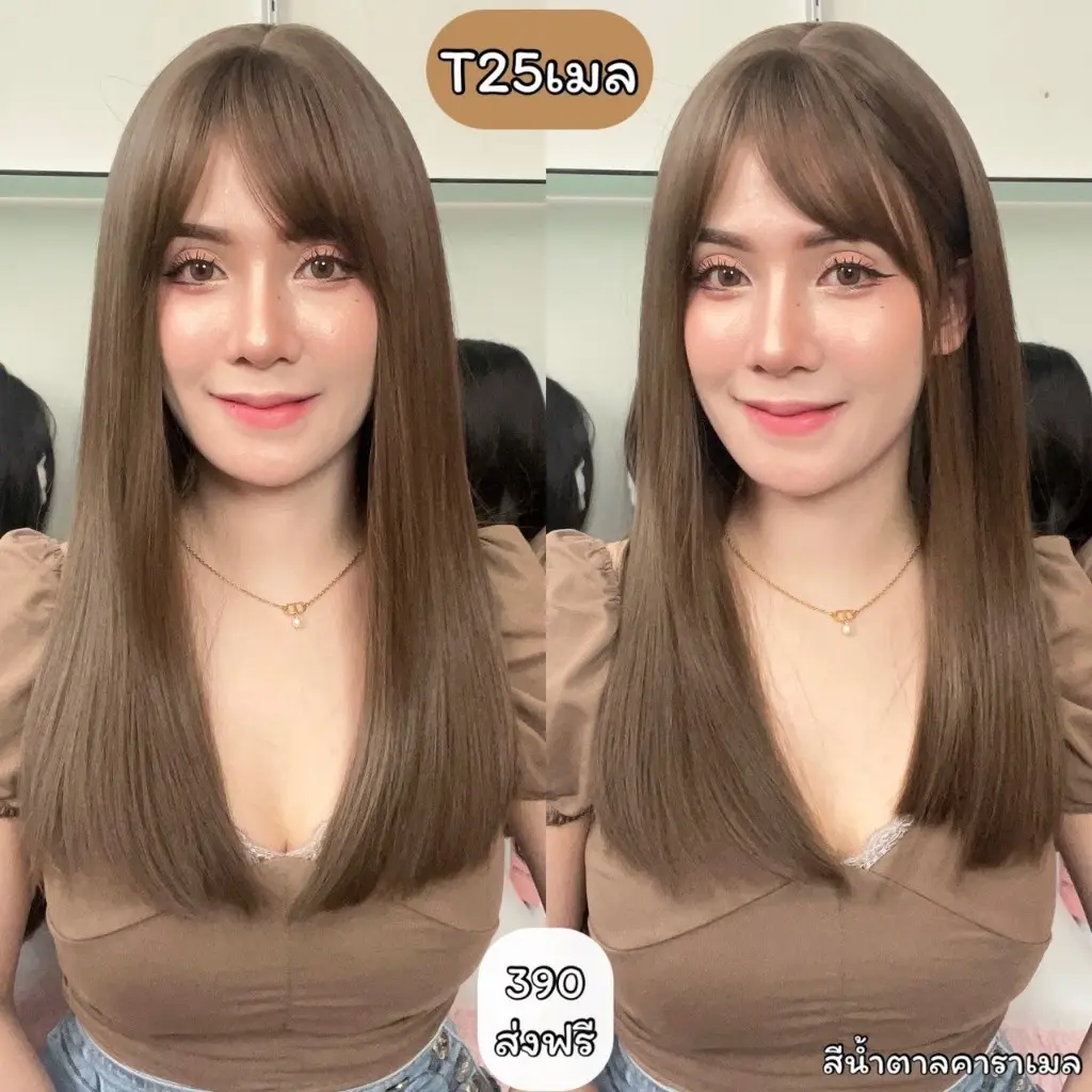 Code T25: Straight wig (with mesh and bracket)