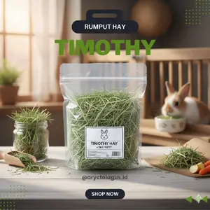 Rumput Hay Timothy Makanan Kelinci Hias Kaya Serat Cocok Untuk Hamster Sulcata Guneapig Membantu Kesehatan Hewan Peliharaan Anda