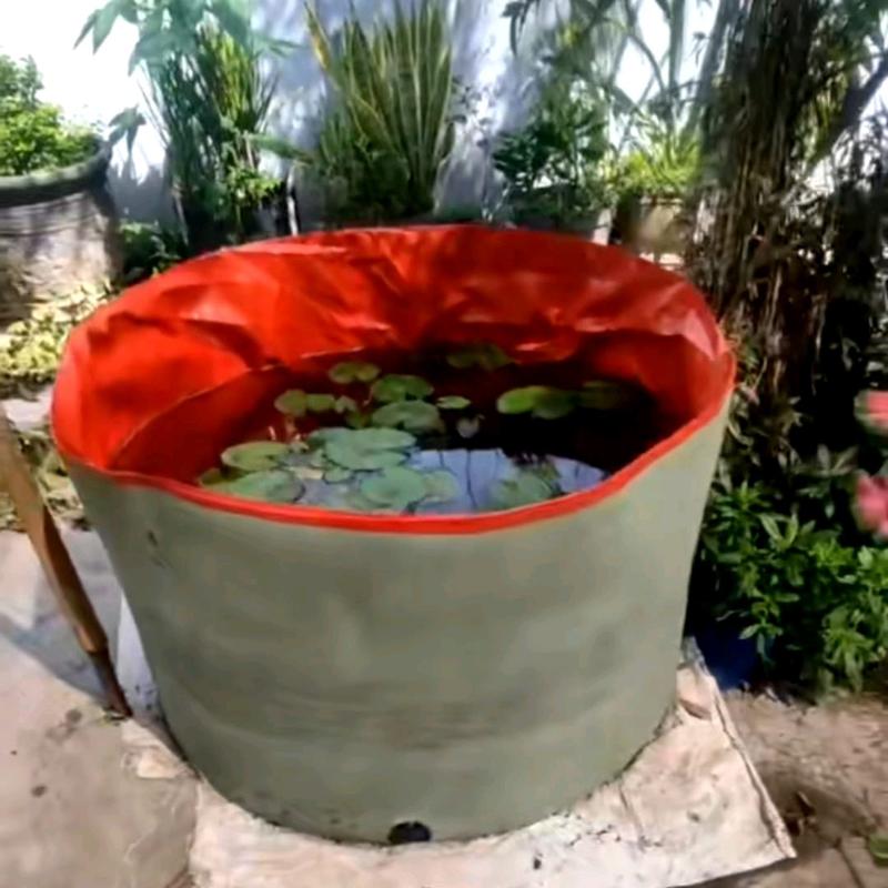 Kolam Terpal Bulat Tanpa Rangka Diameter 150cm /1, 5m tinggi 45cm Untuk Budidaya Ikan Lele Nila Gurame gabus udang Belut Dll 1